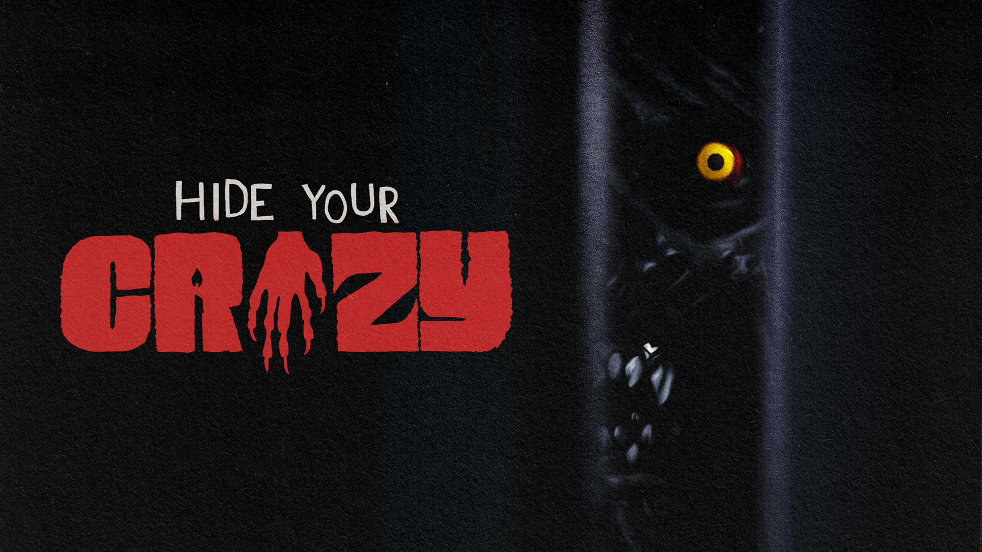 Hide Your Crazy poster